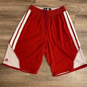 NBA Practice Shorts (Blank)